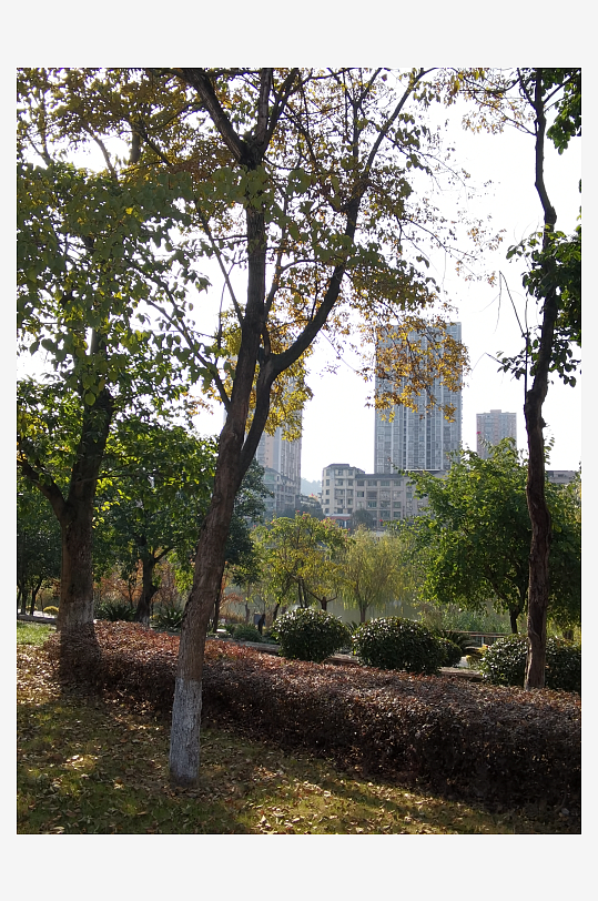 清新舒适户外公园环境-众图网