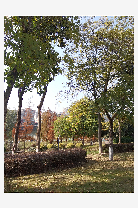 清新舒适户外公园环境-众图网