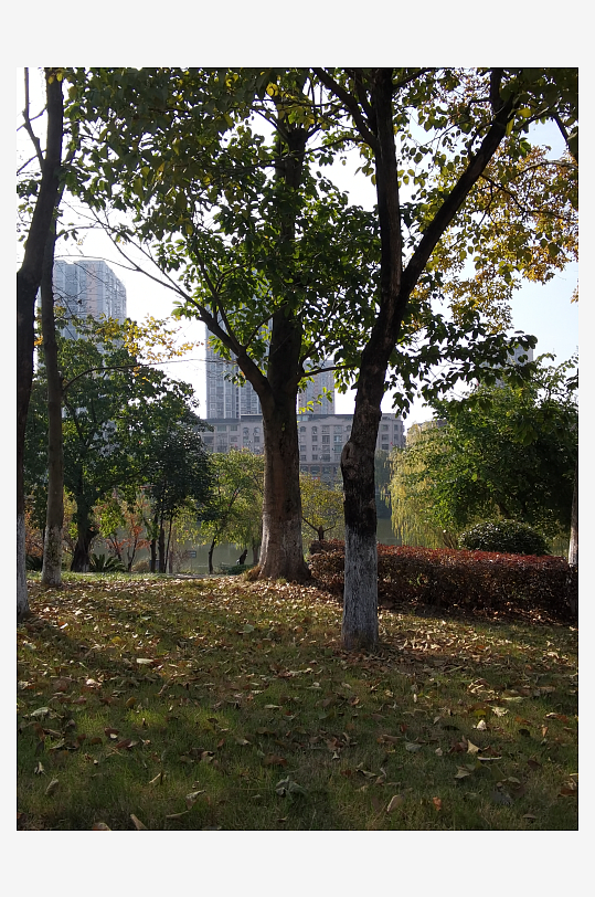 清新舒适户外公园环境-众图网