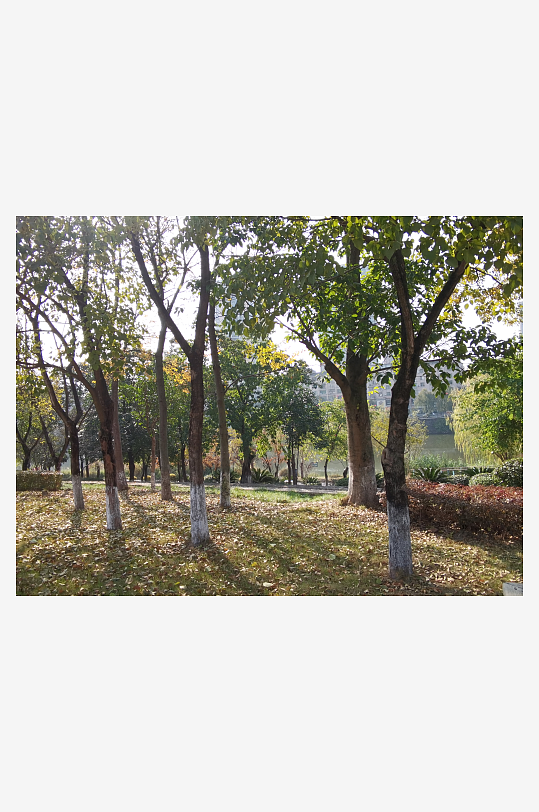 清新舒适户外公园环境-众图网