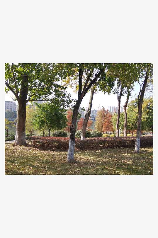 清新舒适户外公园环境-众图网