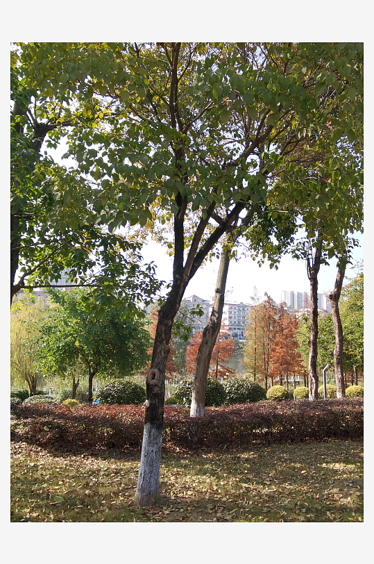 清新舒适户外公园环境-众图网