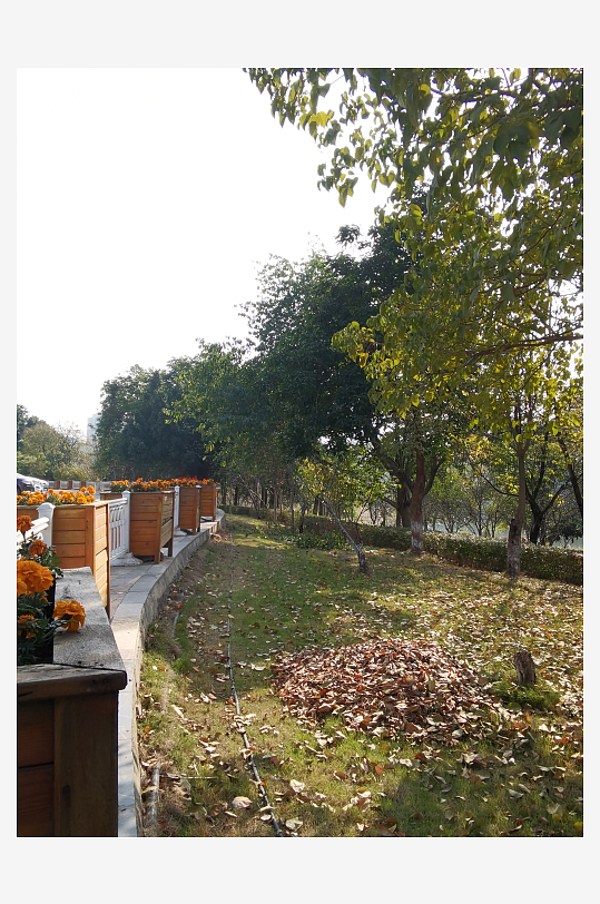 清新舒适户外公园环境-众图网