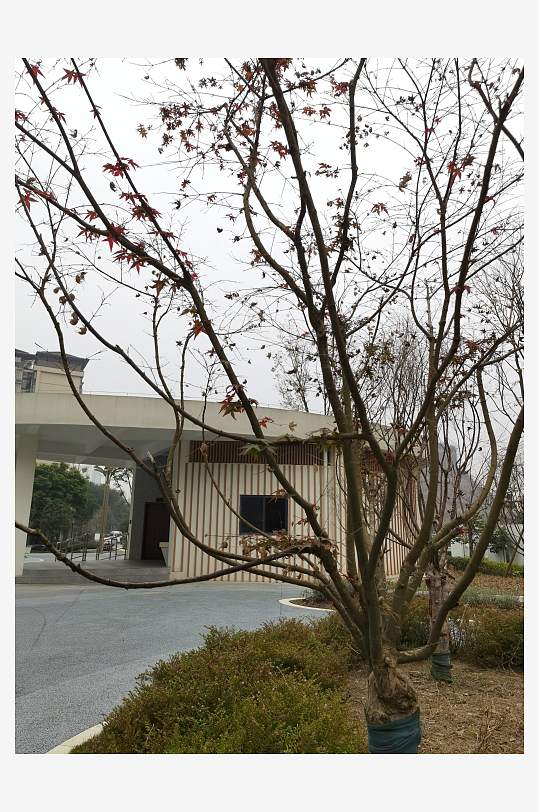 城市小区建筑外观-众图网