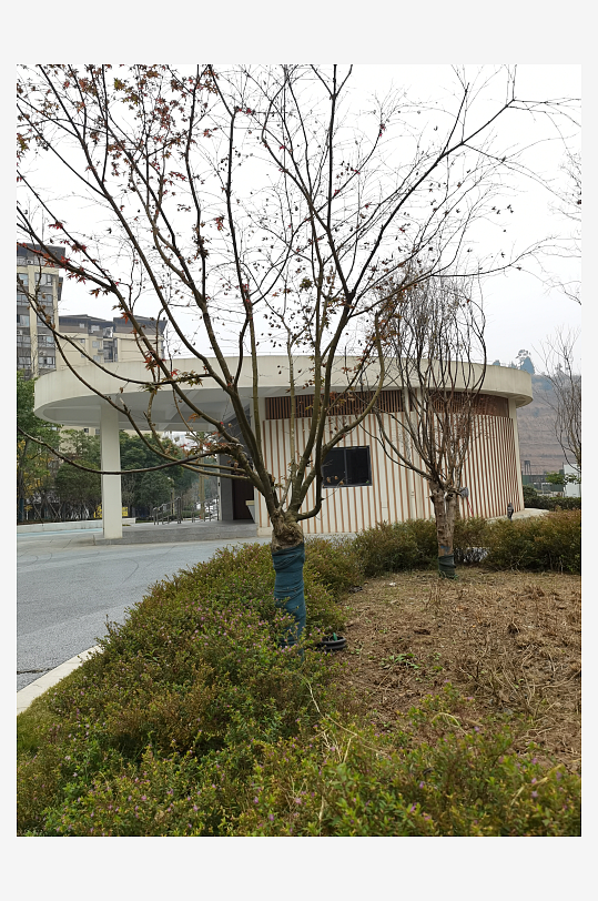 城市小区建筑外观-众图网