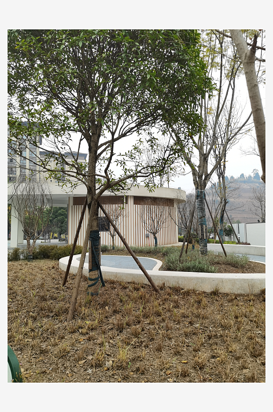 城市小区建筑与绿化环境-众图网