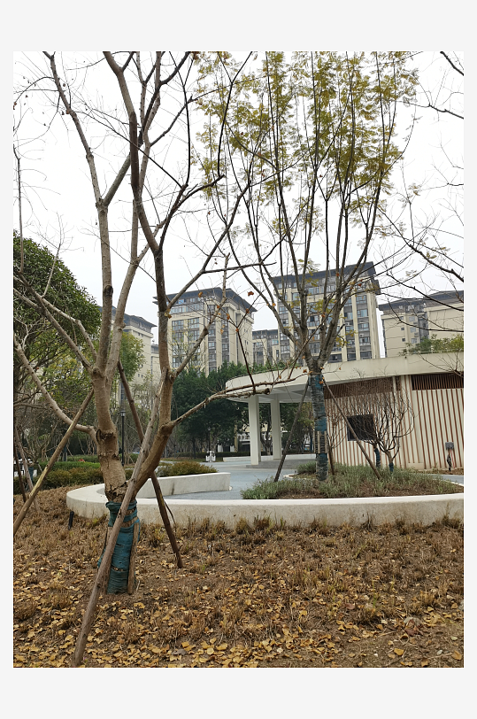 城市小区建筑与绿化环境-众图网