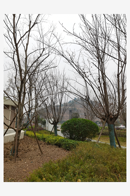 休闲城市小区绿化环境-众图网