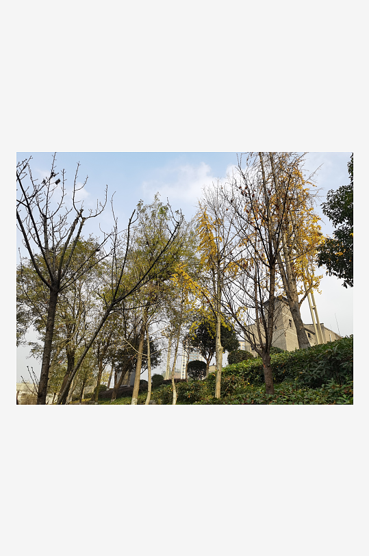 休闲城市小区绿化环境-众图网