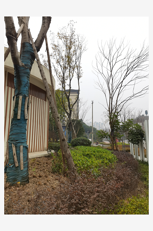 休闲城市小区绿化环境-众图网