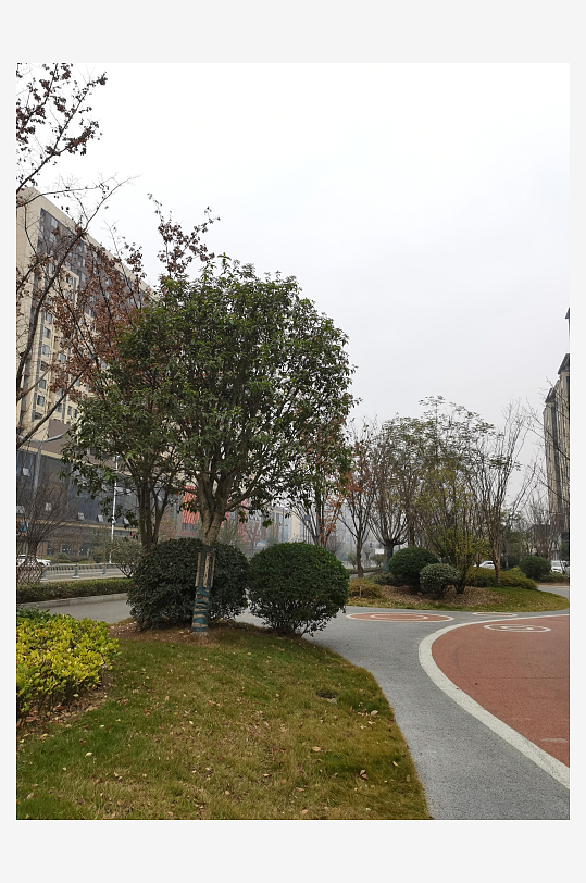 休闲城市小区绿化环境-众图网