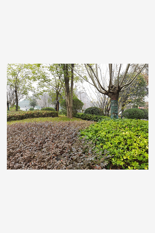 休闲城市小区绿化环境-众图网