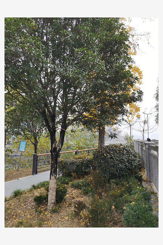 休闲城市户外悠闲场所-众图网