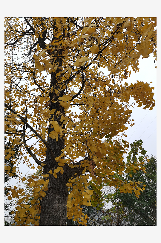 宜居城市户外悠闲场所-众图网