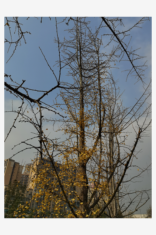 宜居城市户外悠闲场所-众图网