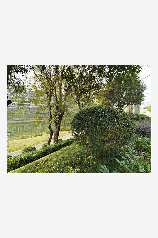 宜居城市户外清新环境-众图网