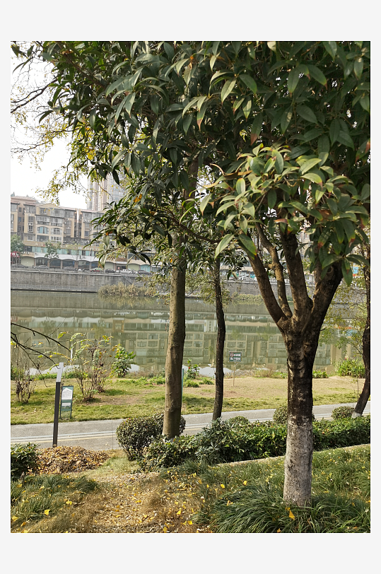 宜居城市户外清新环境-众图网