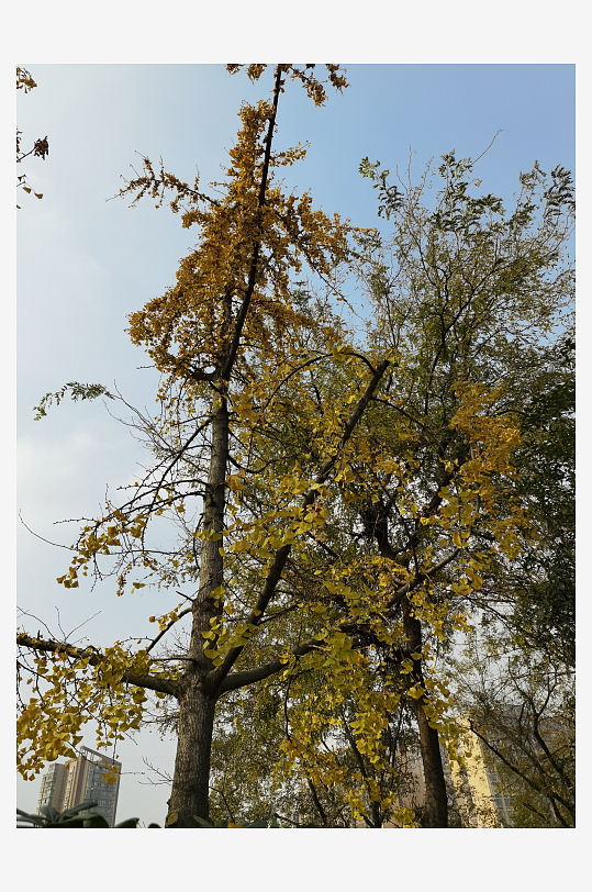 宜居城市户外清新环境-众图网