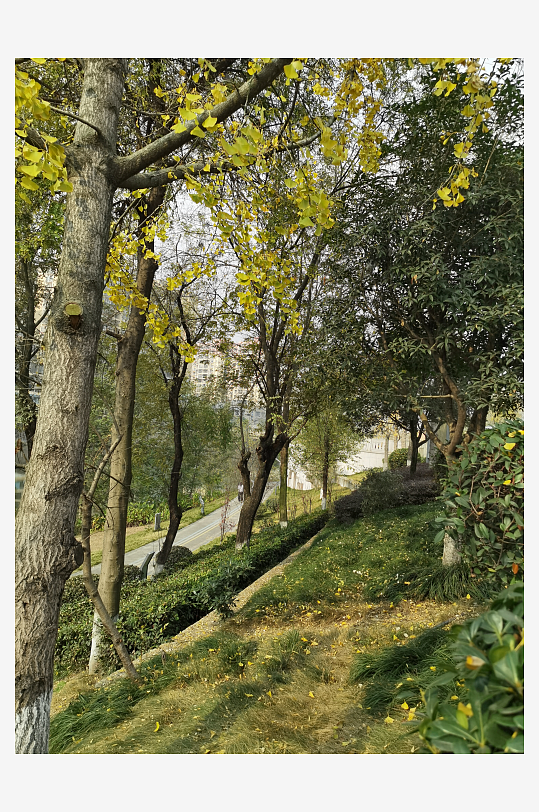 宜居城市户外清新环境-众图网