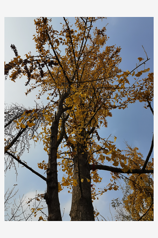 宜居城市户外清新环境-众图网