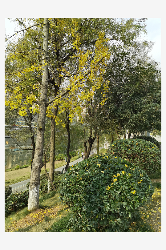 宜居城市户外清新环境-众图网