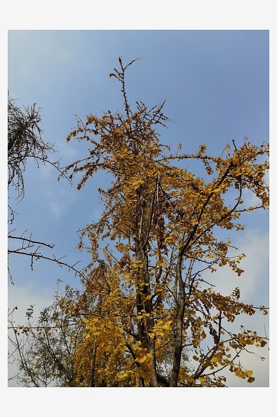 宜居城市户外清新环境-众图网