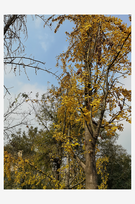 宜居城市户外清新环境-众图网
