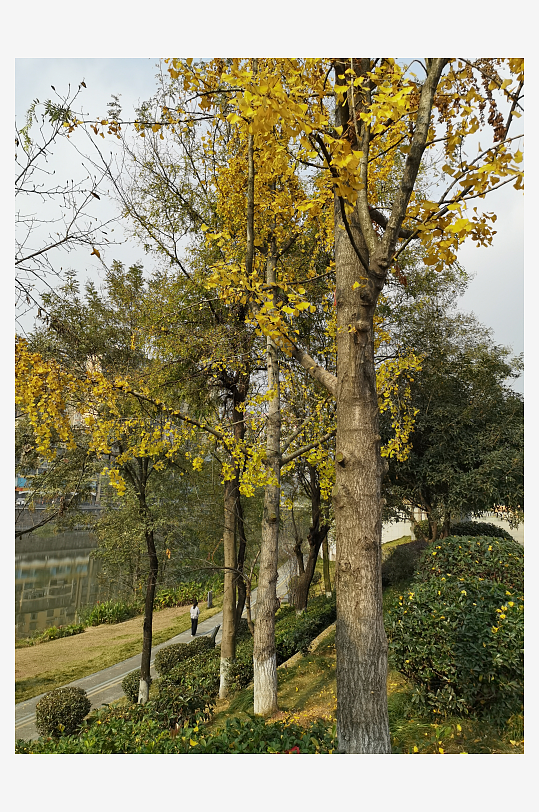 宜居城市户外清新环境-众图网