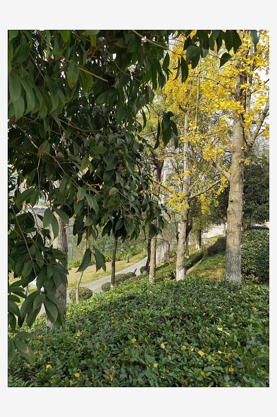 宜居城市户外清新环境-众图网