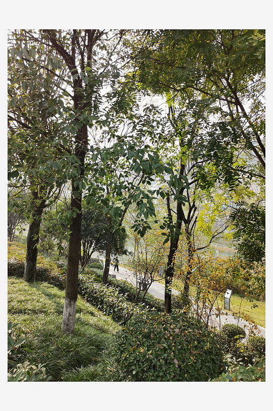 宜居城市户外清新环境-众图网