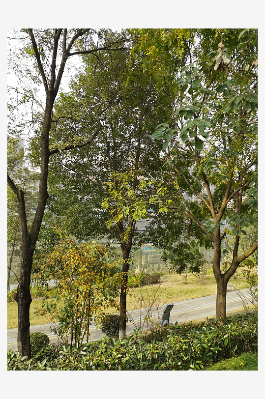 宜居城市户外清新场所-众图网