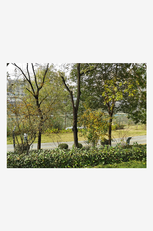 宜居城市户外清新场所-众图网