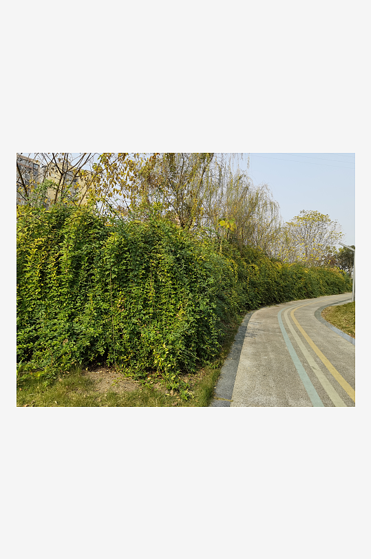 宜居城市户外清新场所-众图网