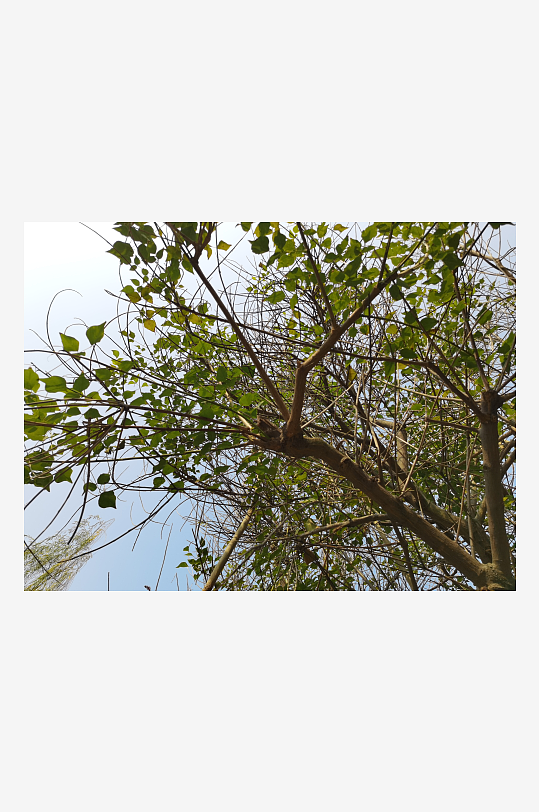 宜居城市户外清新场所-众图网