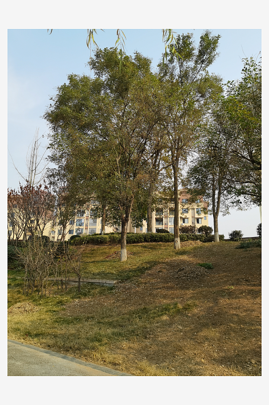 宜居城市户外清新场所-众图网