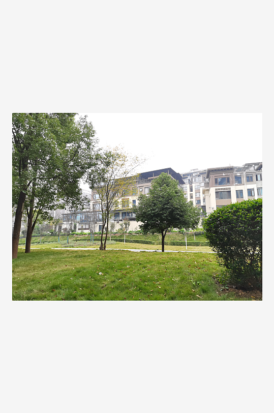 公园里繁茂生长的植物-众图网