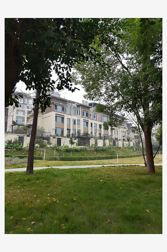 公园里繁茂生长的植物-众图网