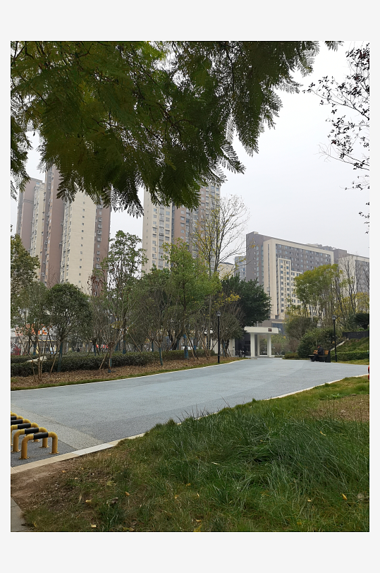 公园里繁茂生长的植物-众图网