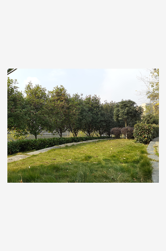 清新户外公园繁茂植物-众图网