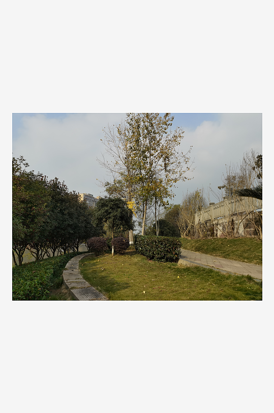 清新户外公园繁茂植物-众图网