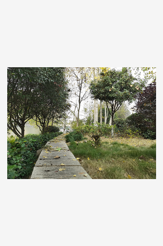 清新户外公园繁茂植物-众图网