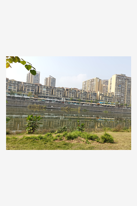 清新户外公园繁茂植物-众图网