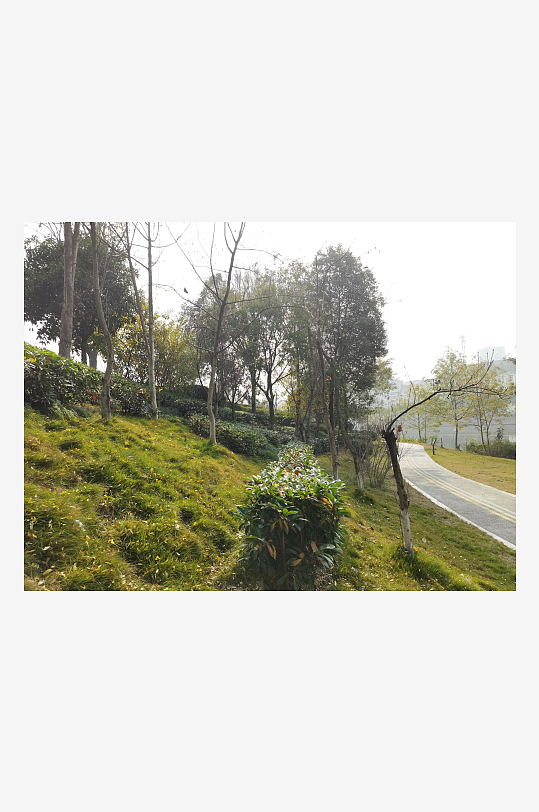 城市户外公园繁茂植物-众图网