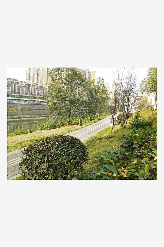 城市户外公园繁茂植物-众图网