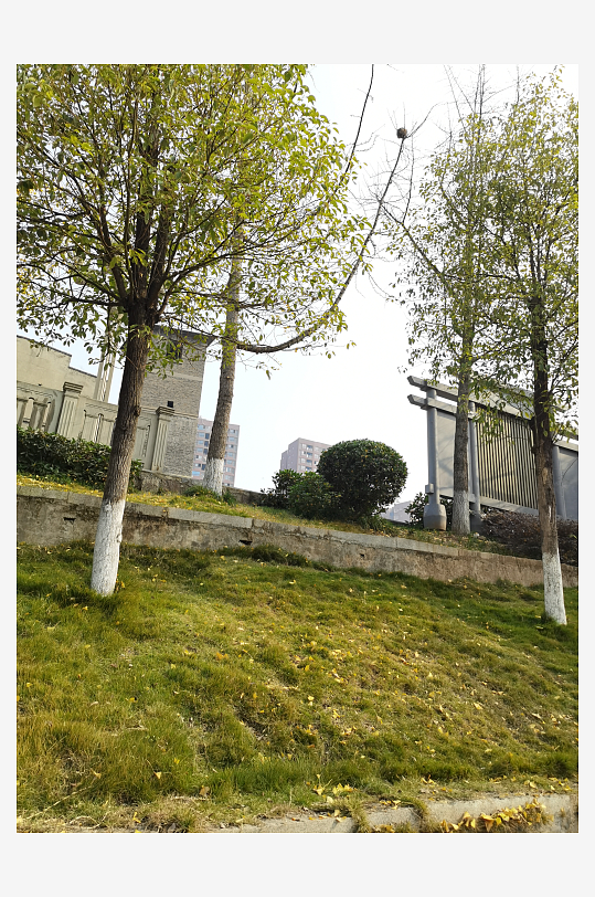 清新舒适城市户外-众图网