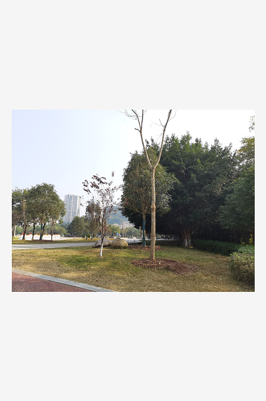 城市户外休闲公园环境-众图网