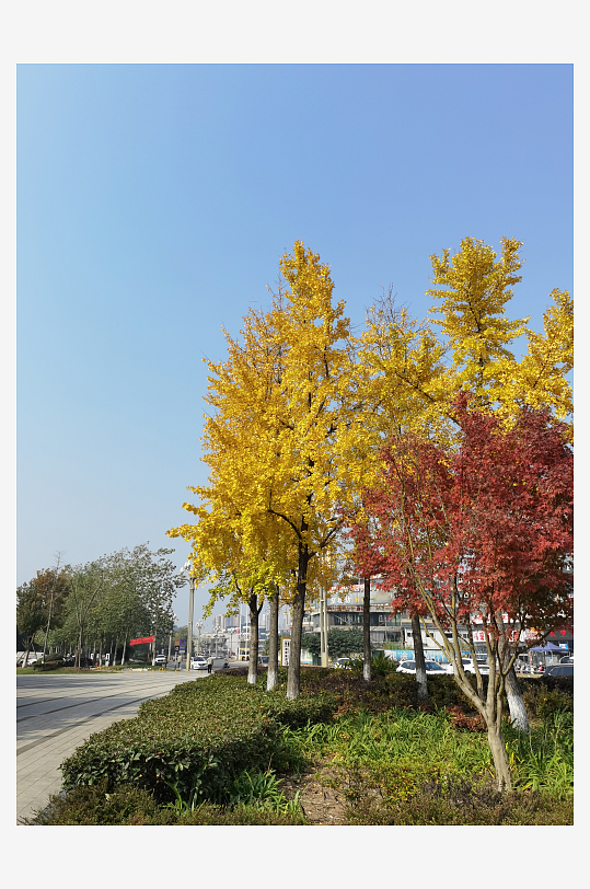 城市户外休闲公园环境-众图网