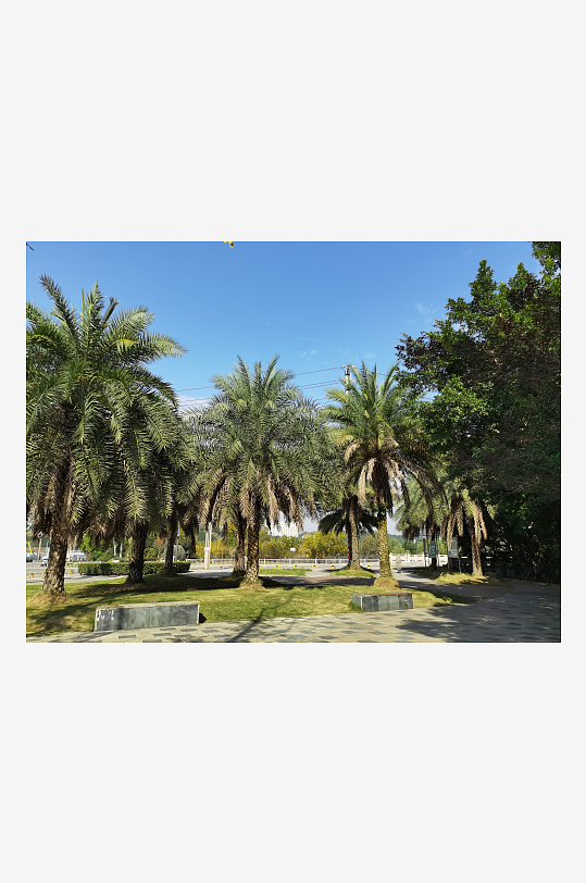 城市户外休闲公园环境-众图网