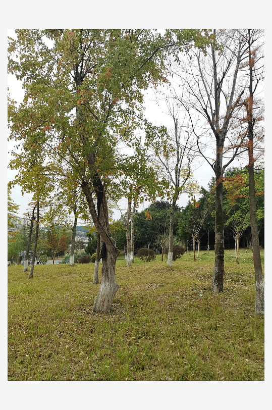 城市户外休闲公园环境-众图网