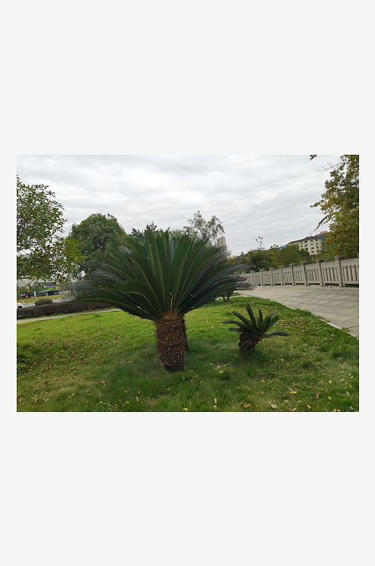 户外休闲公园环境-众图网